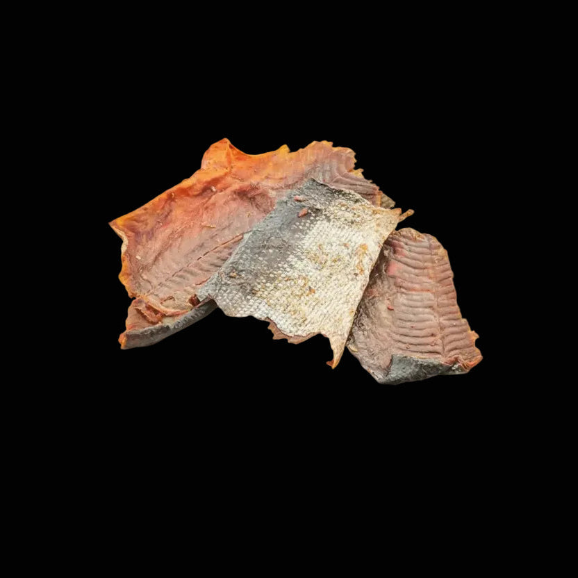 Dried salmon Skin on a beige background with text, Dog treats, dog cookies, pets, cat treats