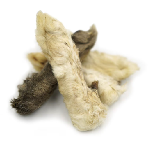 Rabbit Feet