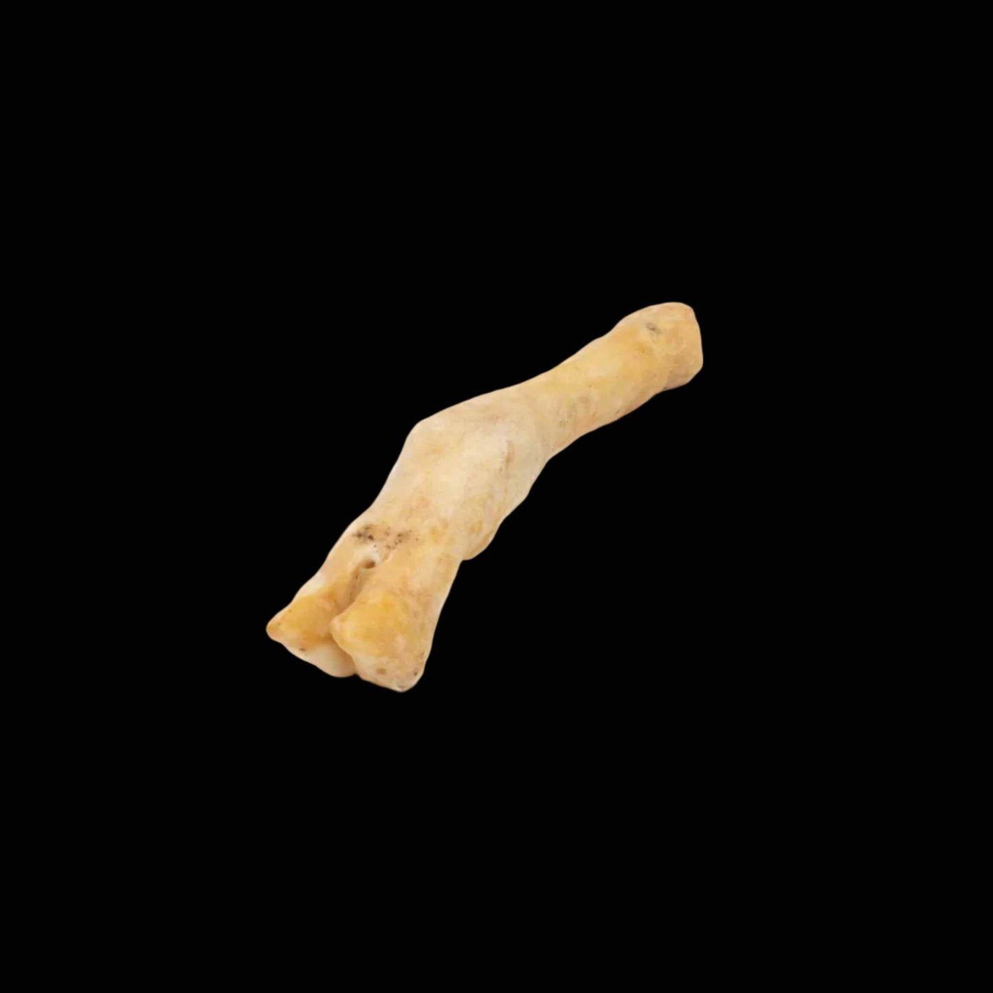 Dog bone chew on a black background