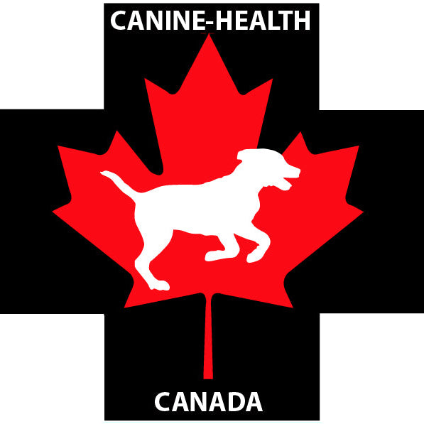 Logo with a red maple leaf and white dog silhouette on a black background, featuring the text 'Canine Health Canada'.