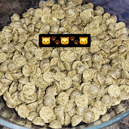 Salmon Treats