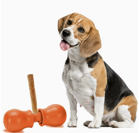 Bully Stick Holder with 6" Bully Stick included