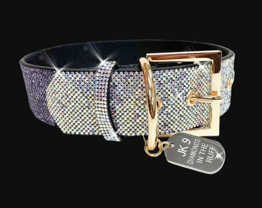Decorative dog collar with rhinestones and a gold buckle on a black background