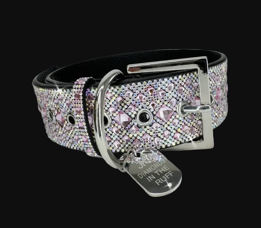 Decorative dog collar with rhinestones and a brand tag on a white background