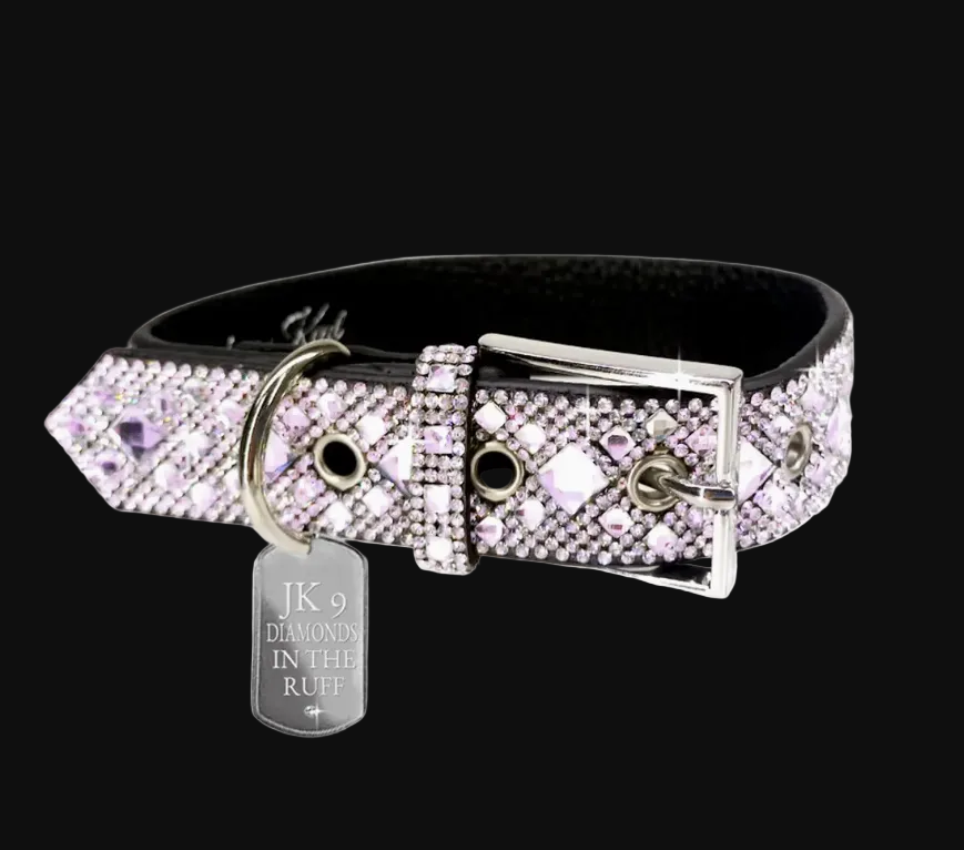 Dog collar with pink gemstones and a tag on a white background