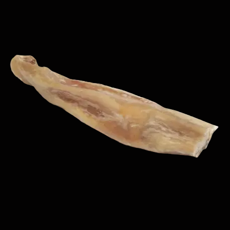Rawhide bone on a white background