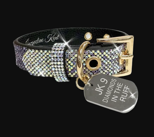 Luxury dog collar with rhinestones and a gold buckle on a black background 