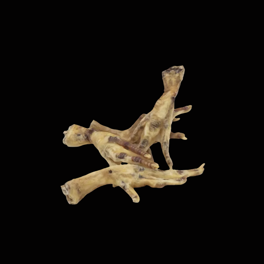 Chicken Feet dehydrated on black background