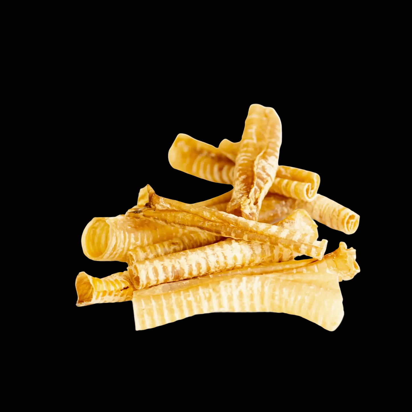 Dried Beef Trachea on grey background