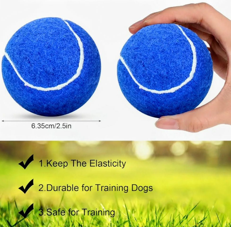 Coloured Tennis Ball